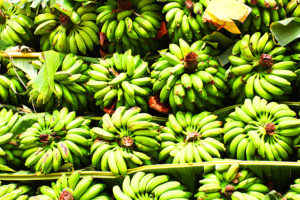 India, green bananas